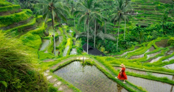 Bali Good Place To Visit