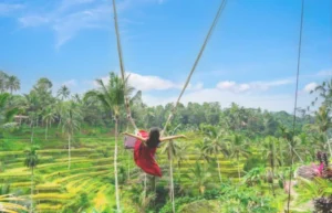 Bali Swing Ubud Price