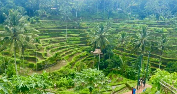 Bali Ubud Itinerary