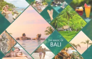 100 Things To Do In Bali