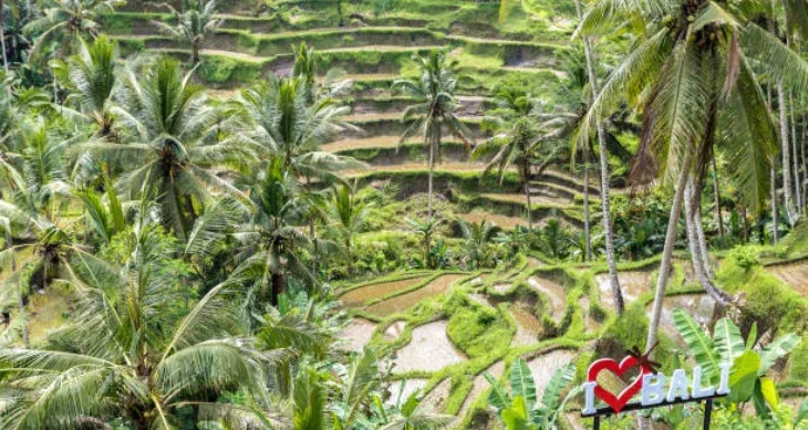 Attractions Near Ubud
