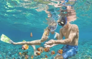 Bali Fun Adventure
