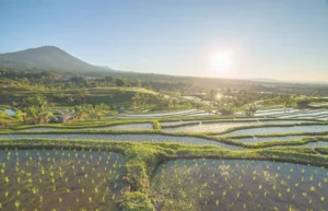 Bali Near Places