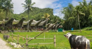 Things To Do In Sulawesi