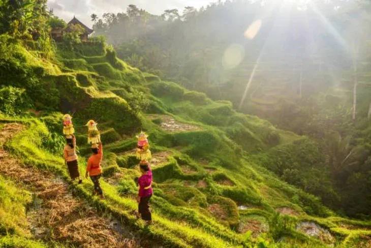 Things To In Bali