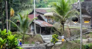 Ubud Indonesia Things To Do
