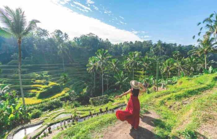 Ubud Tourist Information