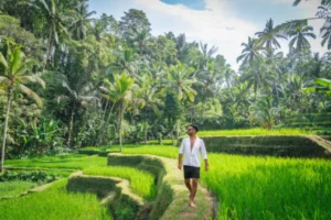 Indonesia Sightseeing Places