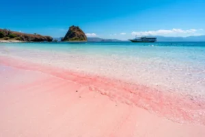 Komodo Island Attractions