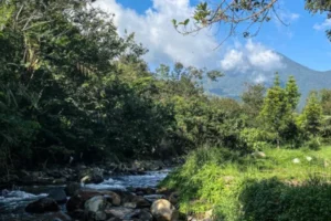Top Attractions in Bogor Indonesia