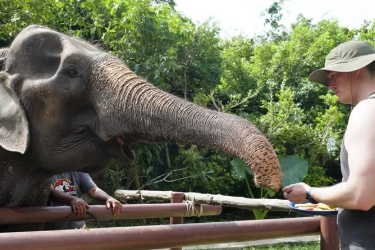 Top Things to Do in Bintan, Indonesia