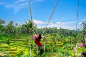 Ubud Swing Bali