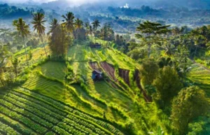 East Bali Tourist Attractions
