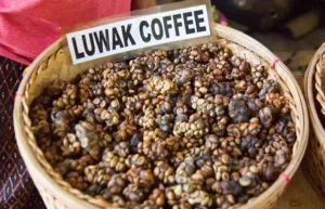 Famous Things Of Bali