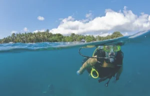 Scuba Diving In Bali Price In Inr