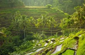 Central Bali Attractions