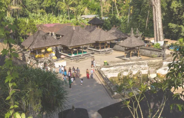 Top 5 Things To Do In Ubud