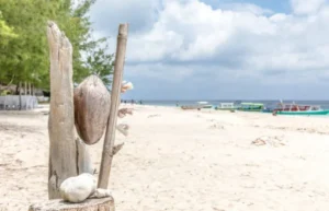 Gili Islands Bali Things To Do