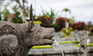 Manggis Bali Things To Do