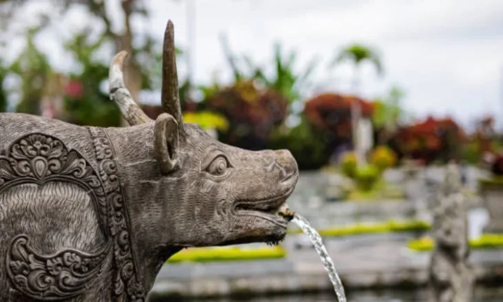 Manggis Bali Things To Do