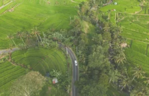 Must Go Places Bali