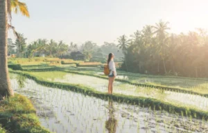 North Bali Attractions
