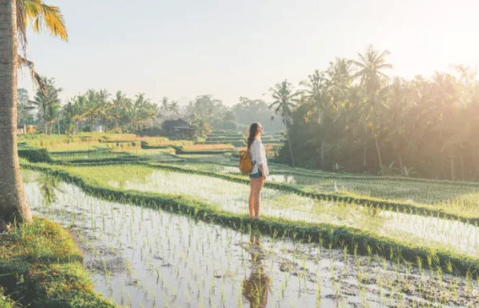 North Bali Attractions