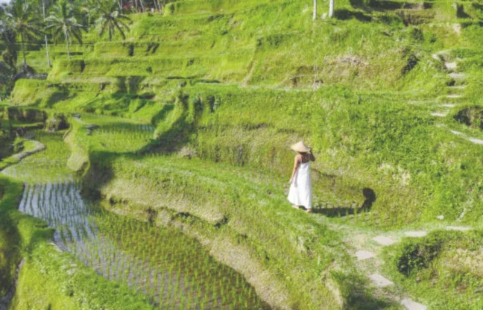 North Bali Things To Do
